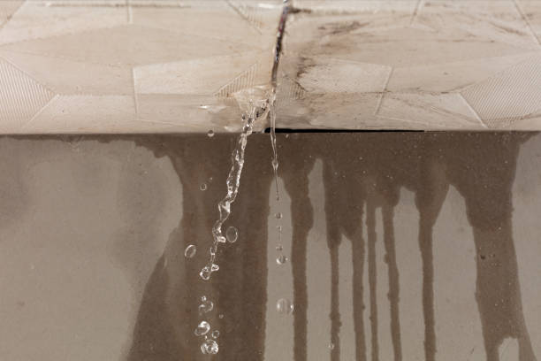 Professional Flood Damage Cleanup technician working in New Market, VA